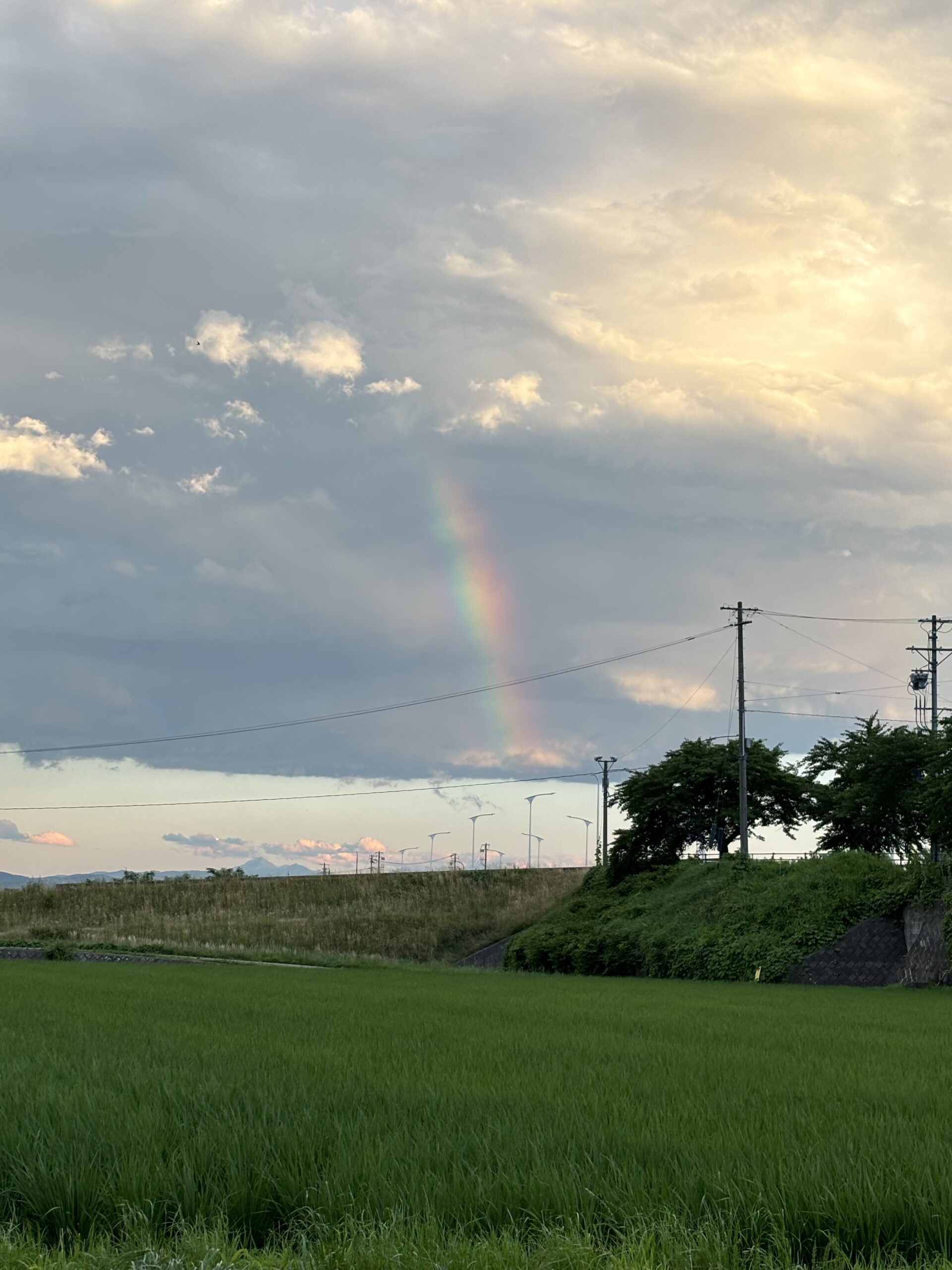 ヨガ数秘学とは